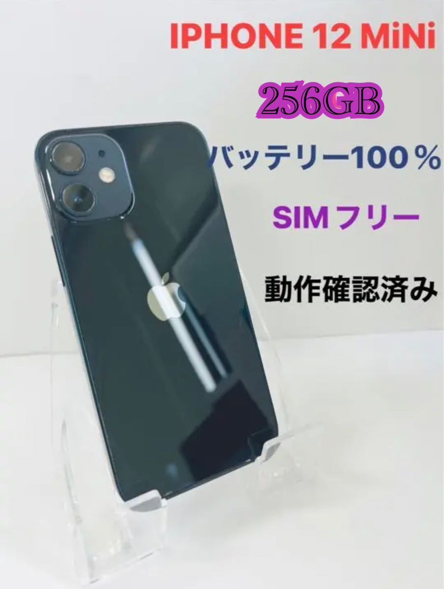 iPhone12mini 本体 256GB eldom.fr