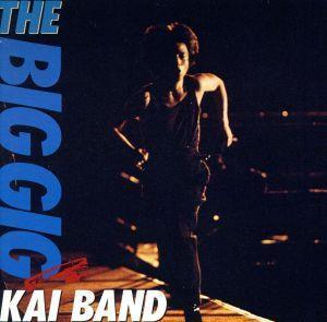 ＴＨＥ　ＢＩＧ　ＧＩＧ（２ＳＨＭ－ＣＤ）／甲斐バンド_画像1