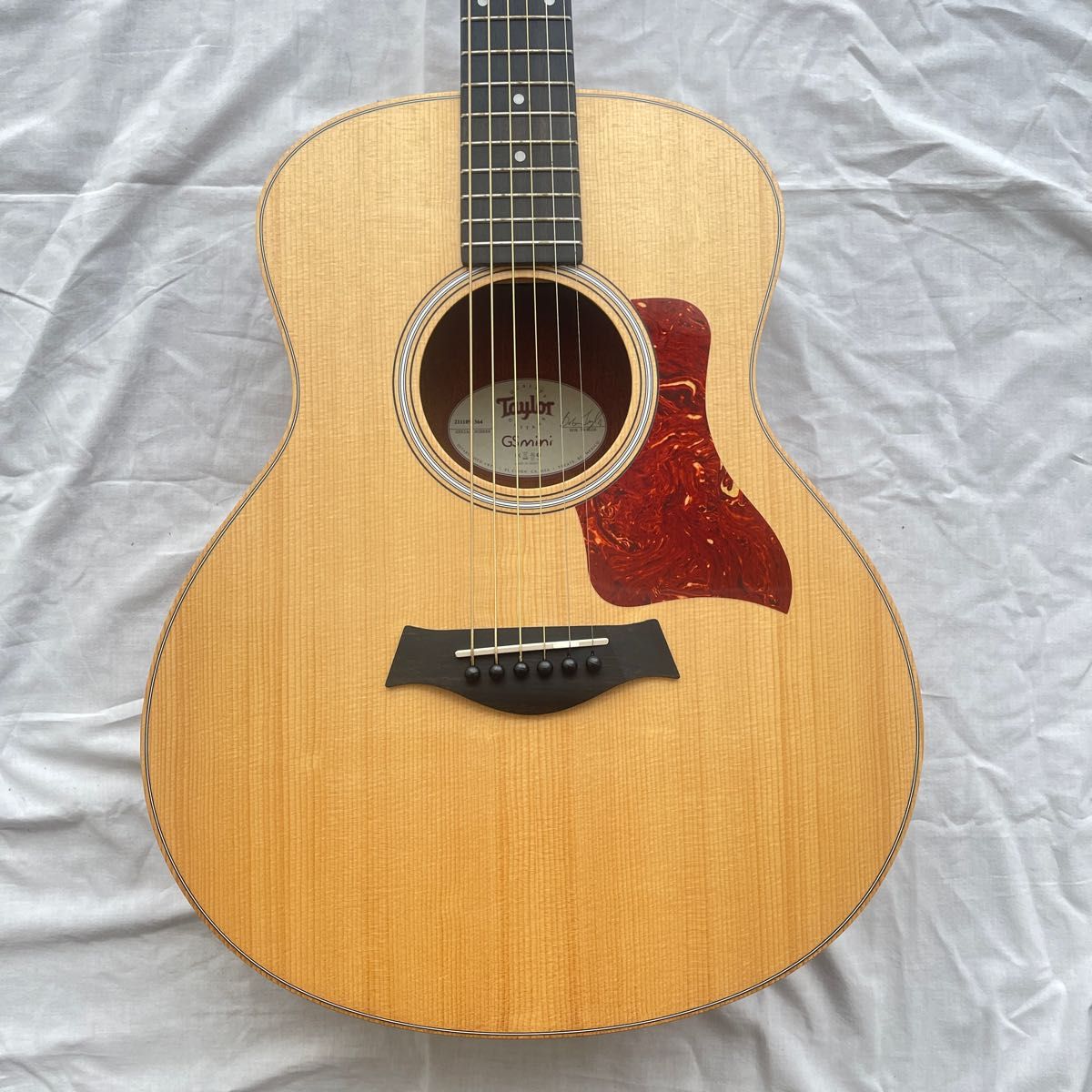 Taylor GS Mini (美品・保証書・説明書付)