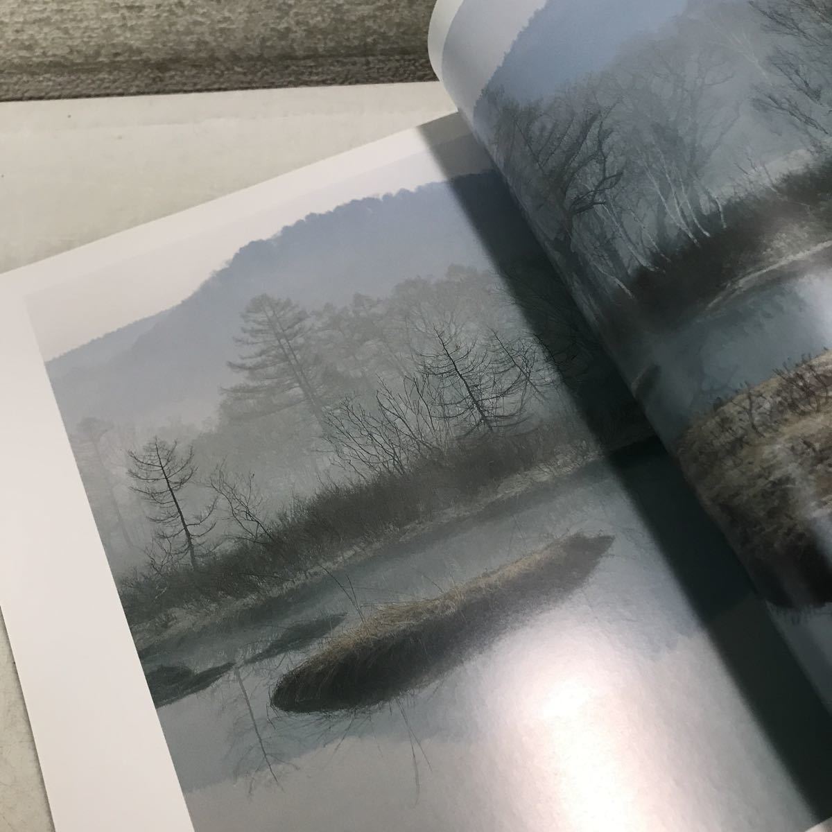 230219▲V07▲ 白籏史朗写真集 2冊セット 尾瀬夢風景/山の花幽幻 1991.93年発行 日本カメラ社MOOK 美本 の画像4