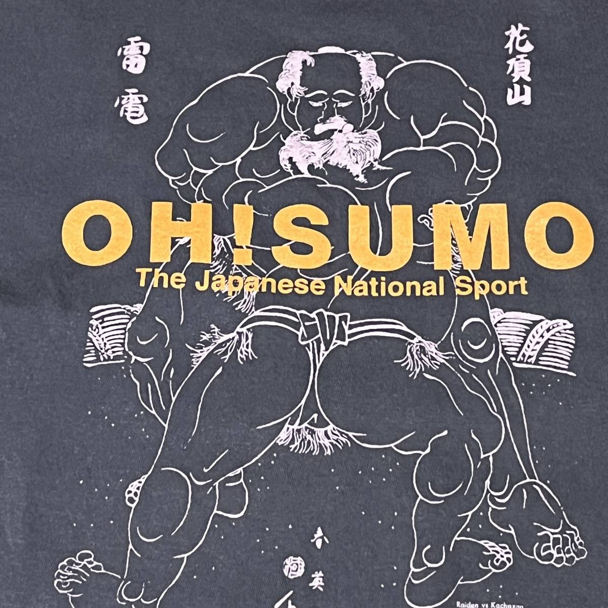  large sumo . electro- therefore right e. flower . mountain ..... T-shirt 