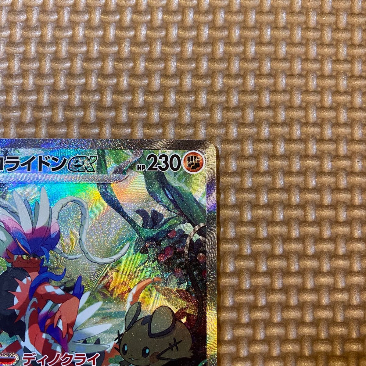 コライドンsar】スカーレットBOXバイオレットBOX ミモザsar コライドンsar】スカーレットBOXバイオレットBOX ミモザsar
