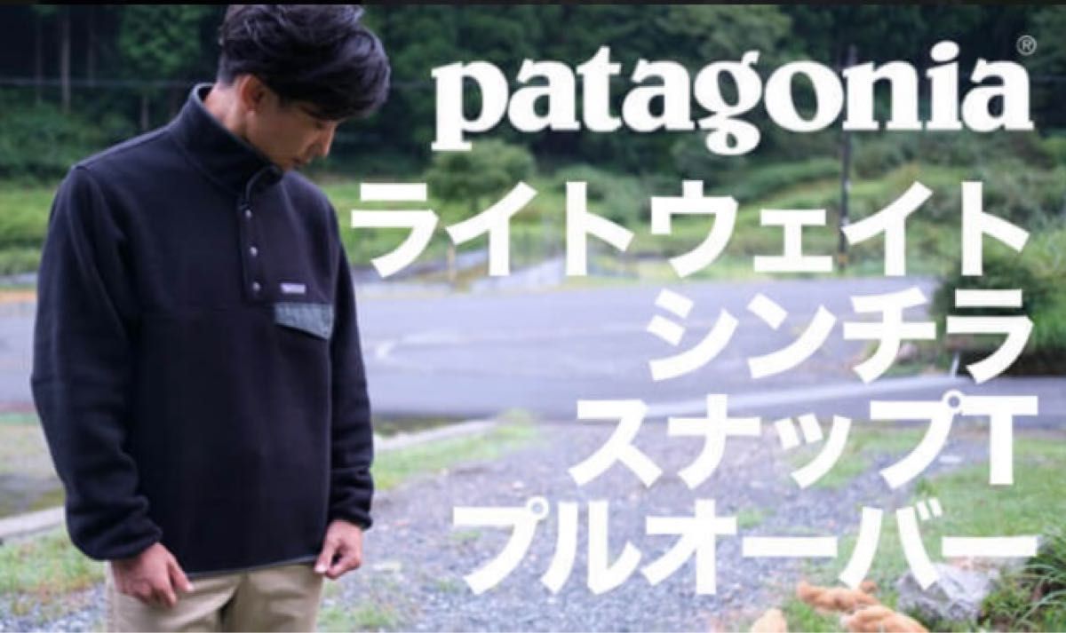 パタゴニア patagonia シンチラスナップT プルオーバー ブラック-