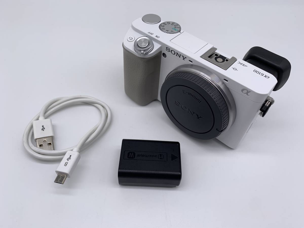 SONY α6100 ILCE-6100 ボディ ソニー スマホ+家電+カメラ | punkinfutz.com