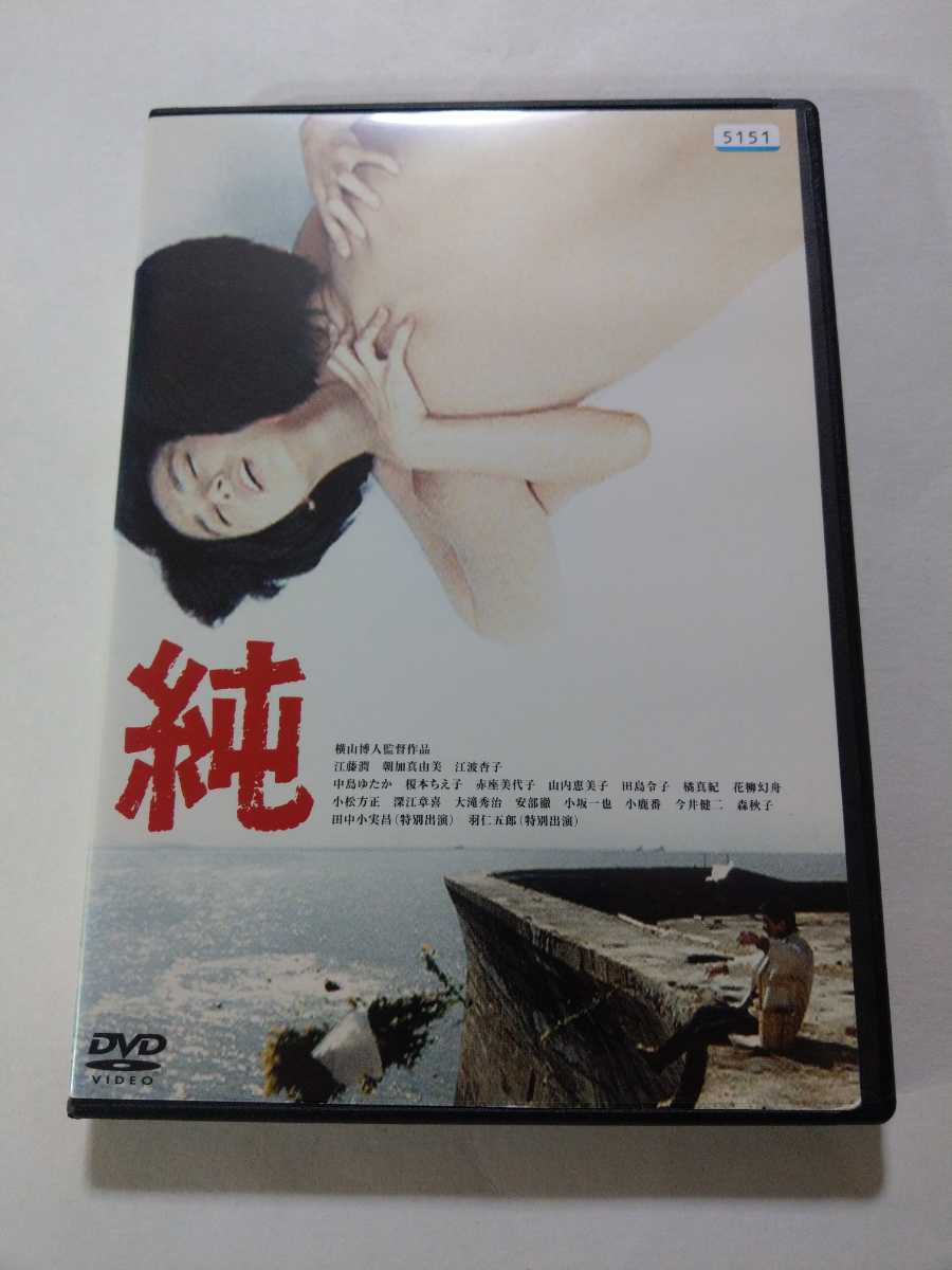 2022年最新春物 DVD 純 【朝加真由美】 | www.tegdarco.com