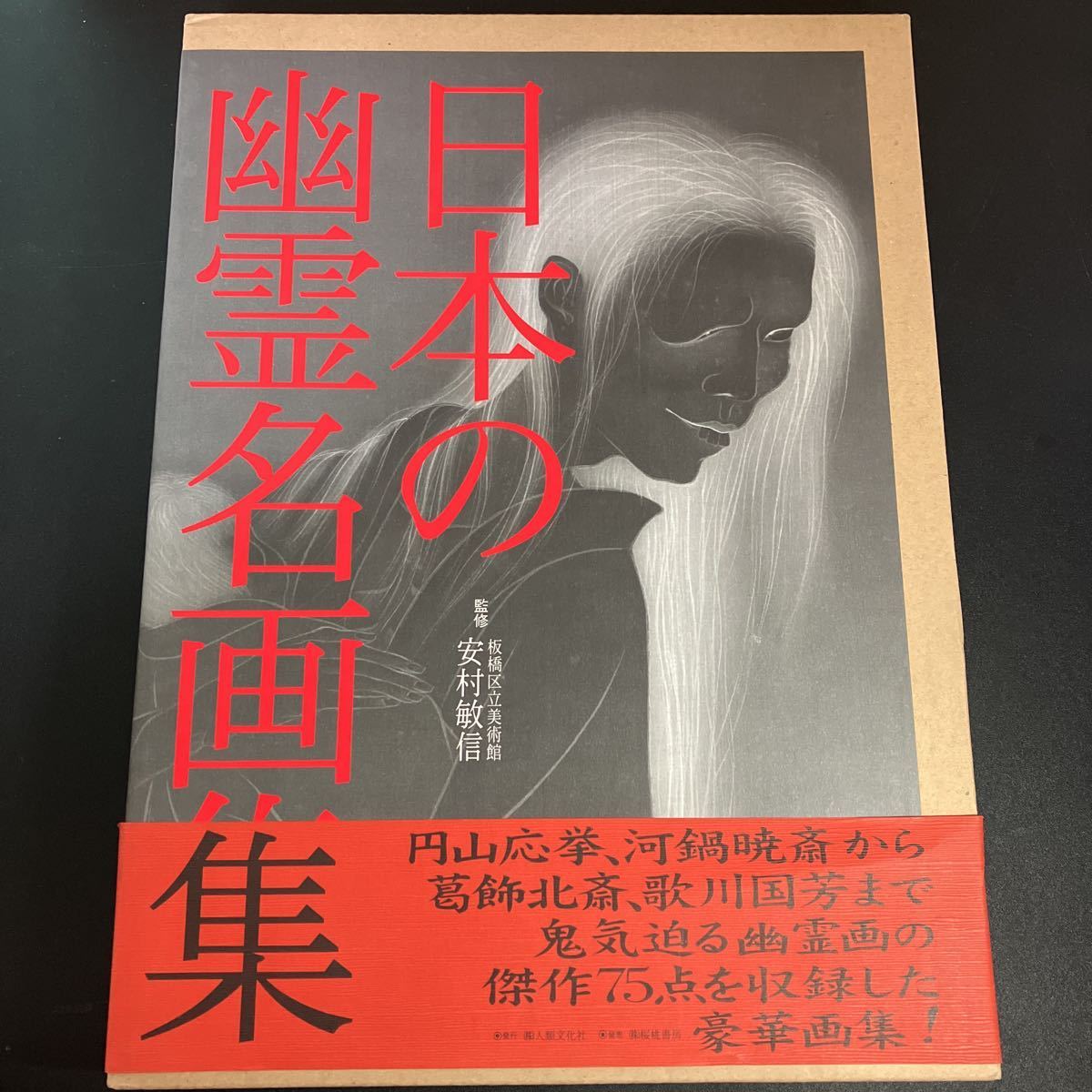 23-2-1 即決！『 日本の幽霊名画集 』円山応挙 河鍋暁斎 葛飾北斎 歌川国芳 月岡芳年　桜桃書房