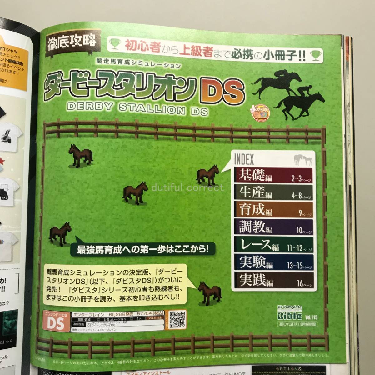 【WEEKLY ファミ通 2008年】 No.1021 杉本清 Hi-Complete Bible Vol.115 ダービースタリオン ファミコン TV ゲーム Weekly Game Magazine_画像6