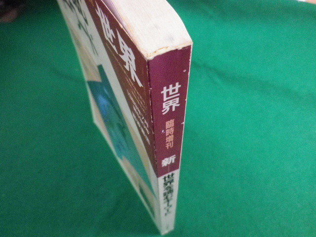 ■新 世界を読むキーワード　世界　臨時増刊　1989年7月第530号　岩波書店■FASD2020091404■_画像3