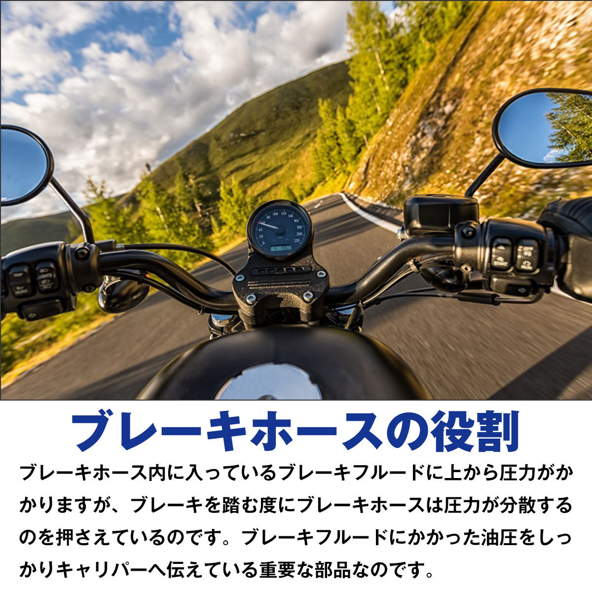 カワサキ ZX12R（～03） 油圧 ステンメッシュホース 角度ストレート＆20° リア用 リヤ用 後ろ ブレーキホース 1本 ブラックA_画像4
