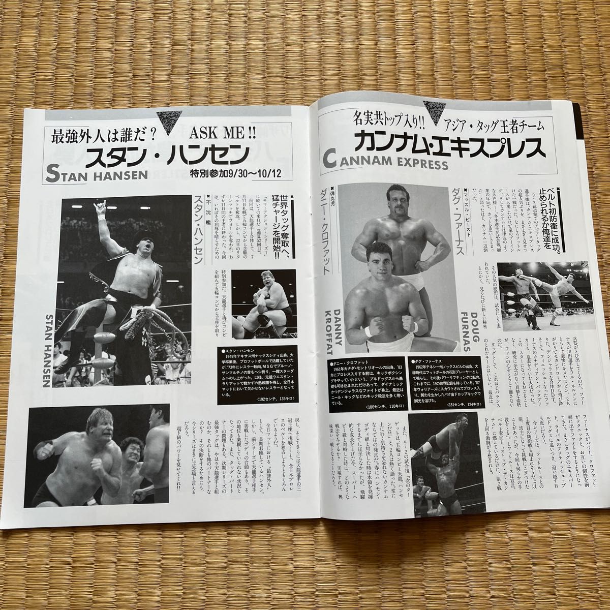 全日本プロレス '89ジャイアントシリーズ パンフレット|Yahoo 全日本プロレス '89ジャイアントシリーズ パンフレット|Yahoo
