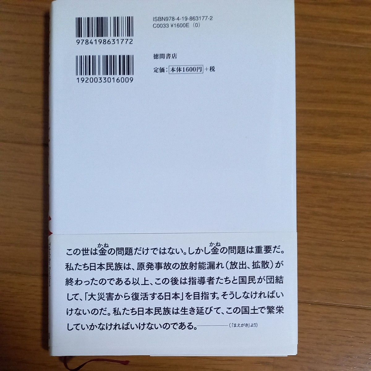 大災害から復活する日本 副島隆彦／著