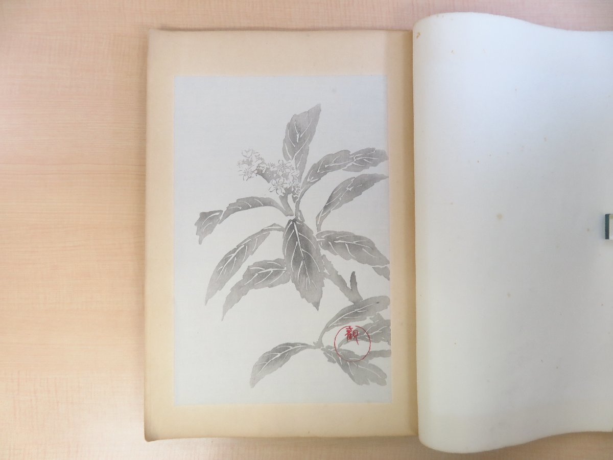 小林観爾『観爾草花墨影帖』昭和9年 内田美術書肆刊 荒木十畝に 小林観爾『観爾草花墨影帖』昭和9年 内田美術書肆刊 荒木十畝に