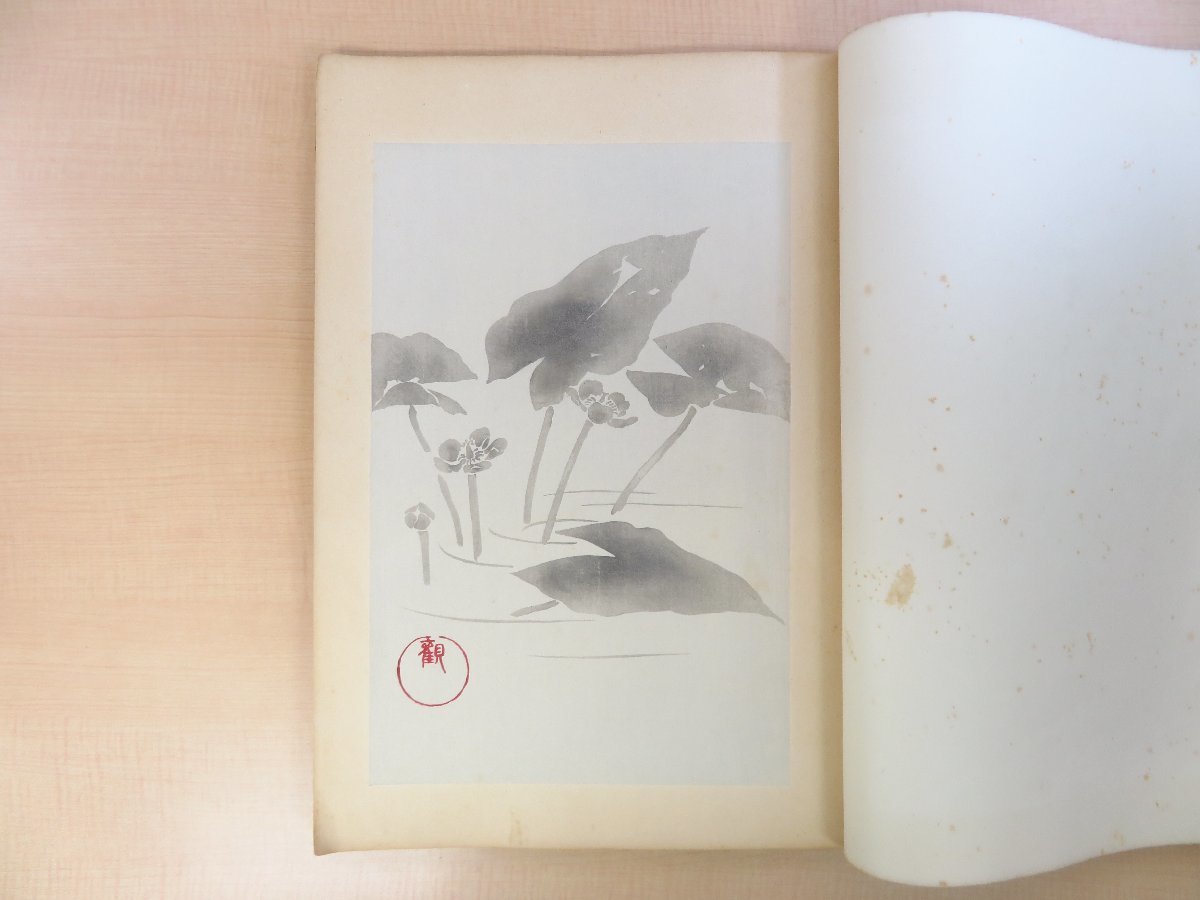 小林観爾『観爾草花墨影帖』昭和9年 内田美術書肆刊 荒木十畝に 小林観爾『観爾草花墨影帖』昭和9年 内田美術書肆刊 荒木十畝に