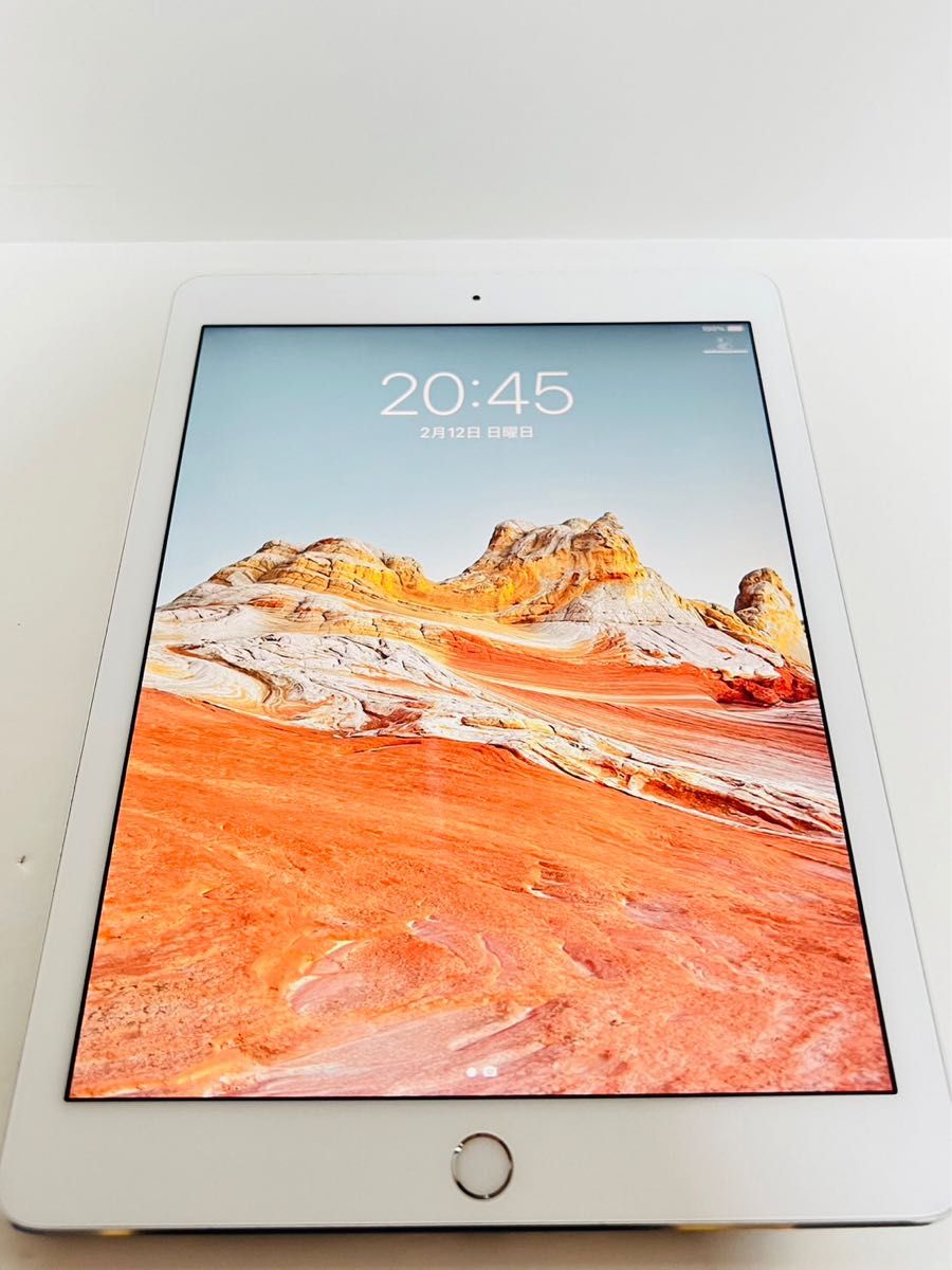 iPad Pro 9.7インチ 128GB SIMフリー-