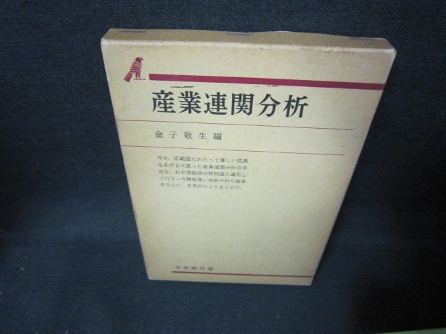 産業関連分析　金子敬生編　箱焼け強シミライン書込み有/HCY_画像1