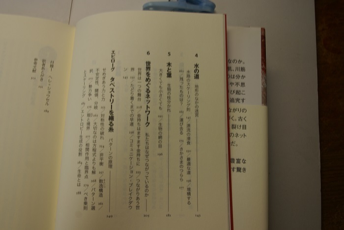 フィリップ.ボール著 枝分かれ 自然が創り出す美しいパタ-ン自然の造形美デザイン宝庫 早川書房2012年1刷 定価2500円 図版豊富301頁 送188 _画像3