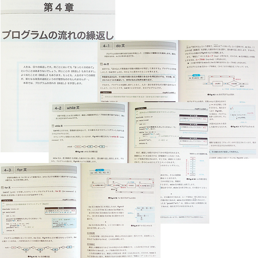  new * Akira .C language introduction compilation lC programming manual illustration sample program 200 super Shibata .. work Technica ru guide program development #