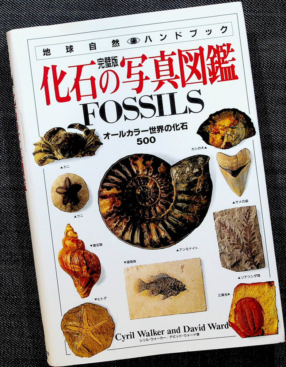 * superior article immediate payment * fossil. photograph illustrated reference book - perfect version l500 kind color photograph less .. animal .. animal plant hito dinosaur feature explanation . thing . lexicon translation paper #d