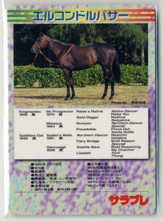 エルコンドルパサー 雑誌サラブレ特製カード 非売品 的場均 蛯名正義