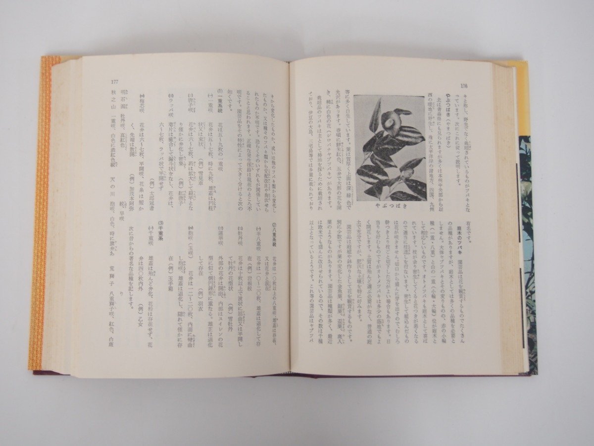 * [. tree . connection tree. way Horie . man work practical use various subjects selection of books Showa era 47 year ]127-02302