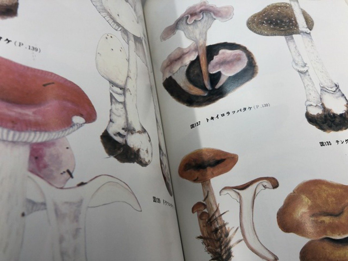 V [ mushrooms dialect . size . color map . pine river . Showa era 55 year Tokyo newspaper publish department ]081-02302