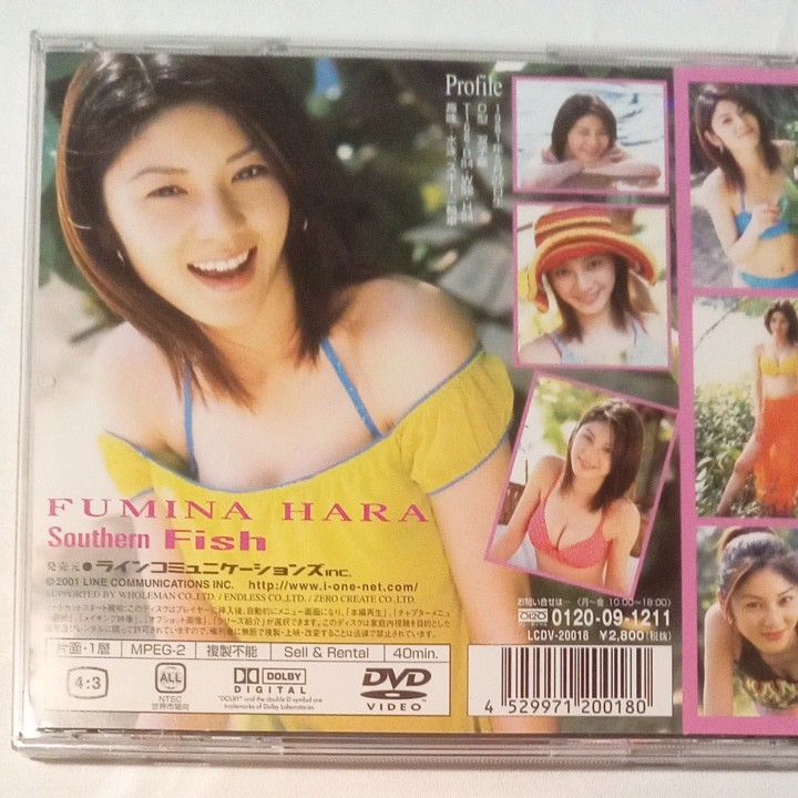 原 史奈DVD  Southen Fish