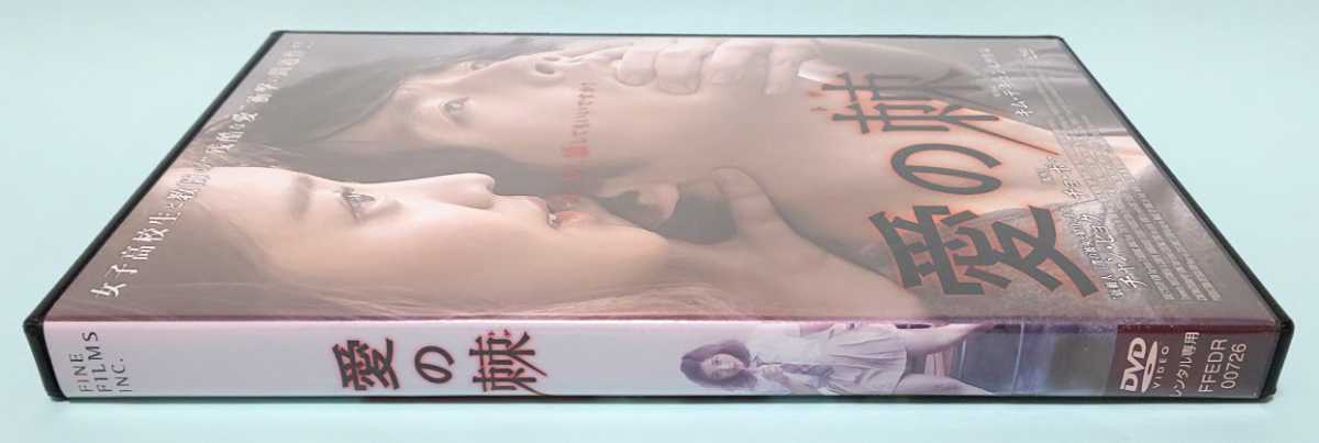 愛の棘 レンタル版 DVD キム・テギュン チャン・ヒョク チョ・ボア ソヌ・ウソン イ・ドア
