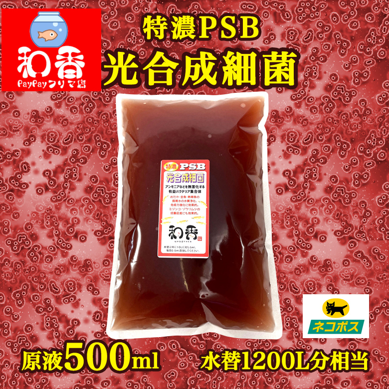 PSB光合成細菌500ml☆市販品の4倍濃度☆バクテリアめだからんちゅう金魚熱帯魚ミジンコゾウリムシクロレラに最適09 魚、水草 | orientemiraflores.edu.co