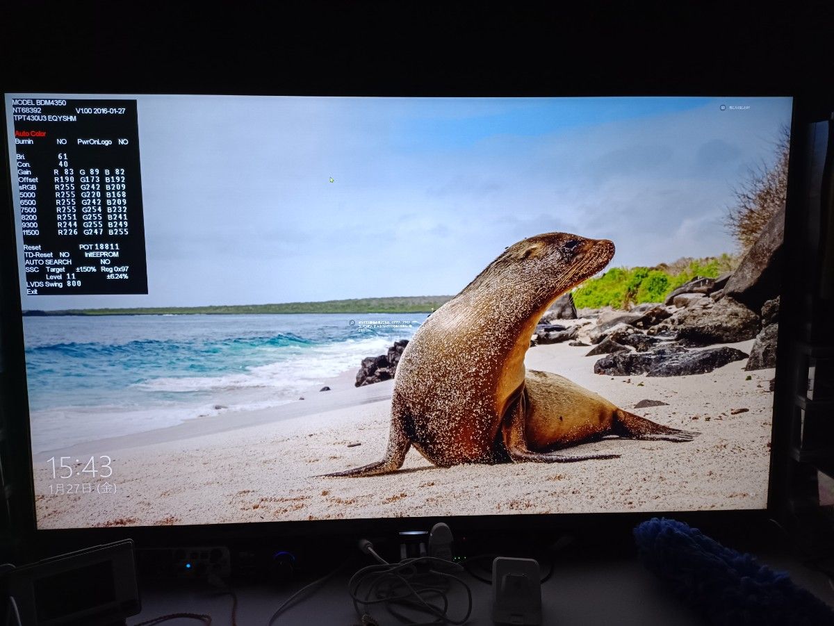43インチ 4K IPS液晶モニター PHILIPS BDM4350UC/11 ディスプレイ