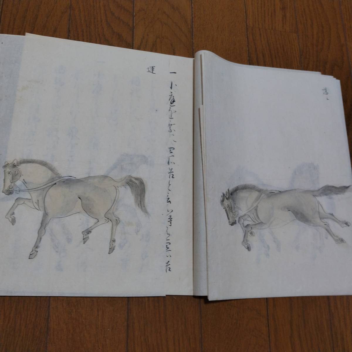 23800円 当方、先祖より代々受け継がれ曽祖父蔵にて保管 犬甘 23800円 当方、先祖より代々受け継がれ曽祖父蔵にて保管 犬甘