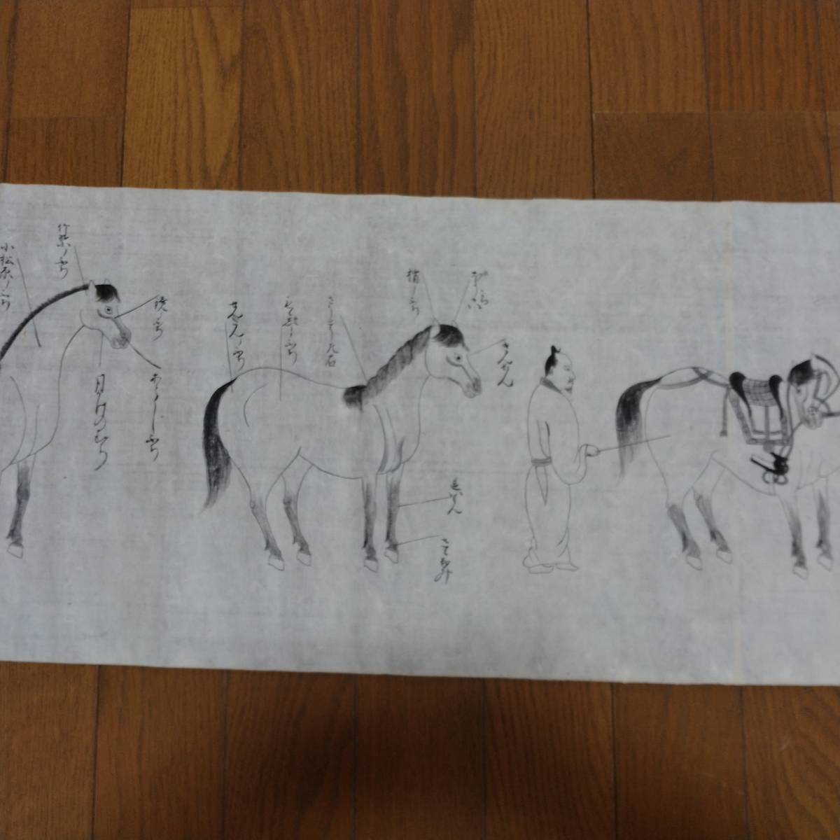 27200円 当方、先祖より代々受け継がれ曽祖父蔵にて保管 犬甘半 27200円 当方、先祖より代々受け継がれ曽祖父蔵にて保管 犬甘半