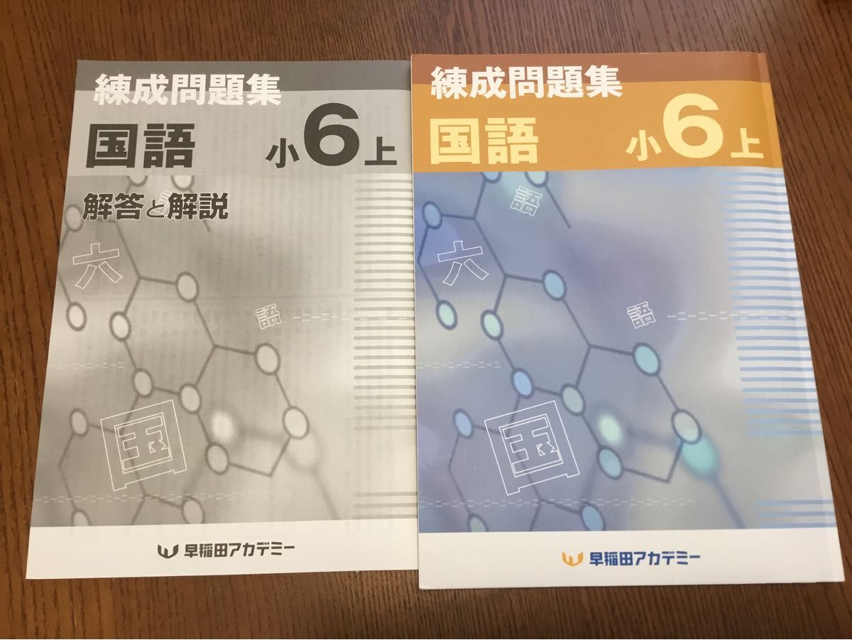 早稲田アカデミー 国語 練成問題集 小6 上 早稲アカ - 通販