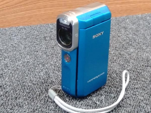 トラスト SONY ビデオカメラ HANDYCAM GW66V 光学10倍 10m防水 防塵 耐