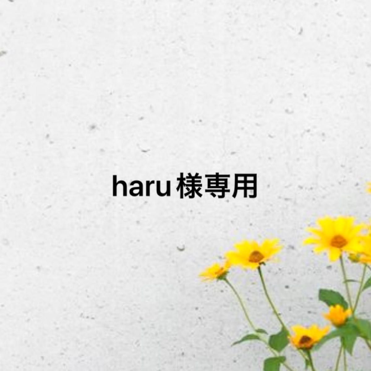 haru様専用ページ|Yahoo!フリマ(旧PayPayフリマ)
