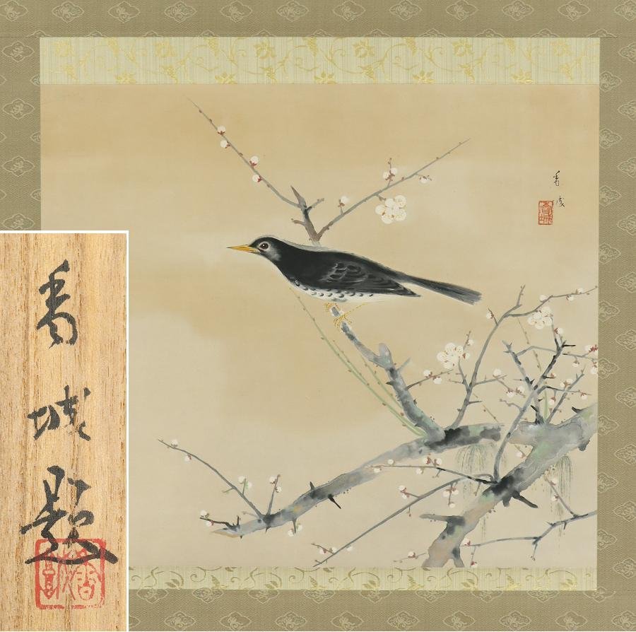 [ genuine work ]* morning see . castle *..* white plum * spring * also box * autograph * paper book@* hanging scroll *r628