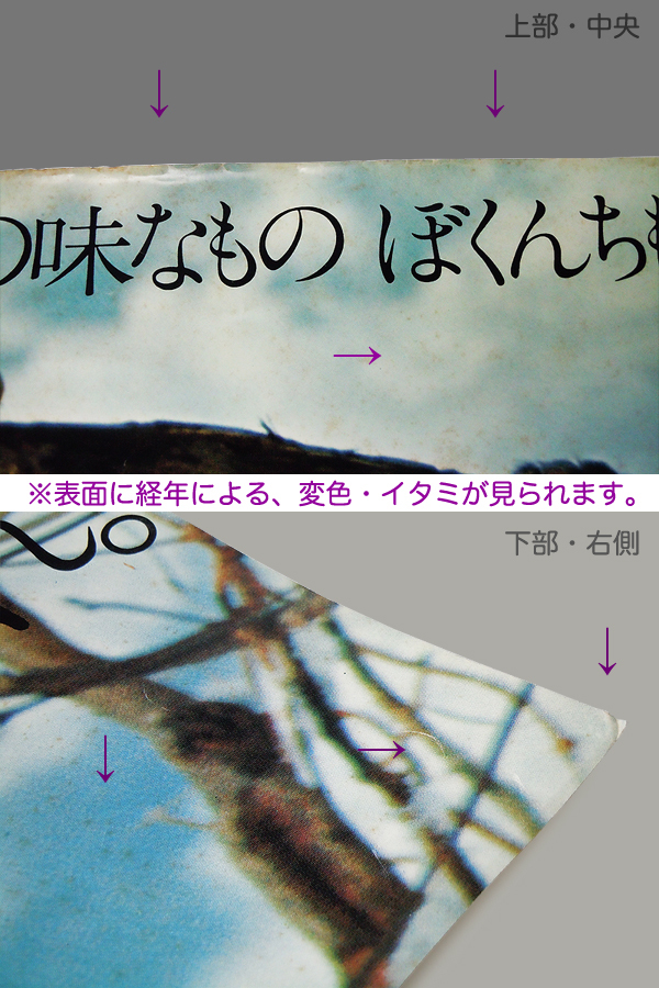 ●【昭和レトロ】スルガ銀行 B1 ポスター ● 駿河銀行 ● 田中一光 仲條正義 横尾忠則 亀倉雄策 永井一正 村上隆 現代美術 資生堂 猿 大正