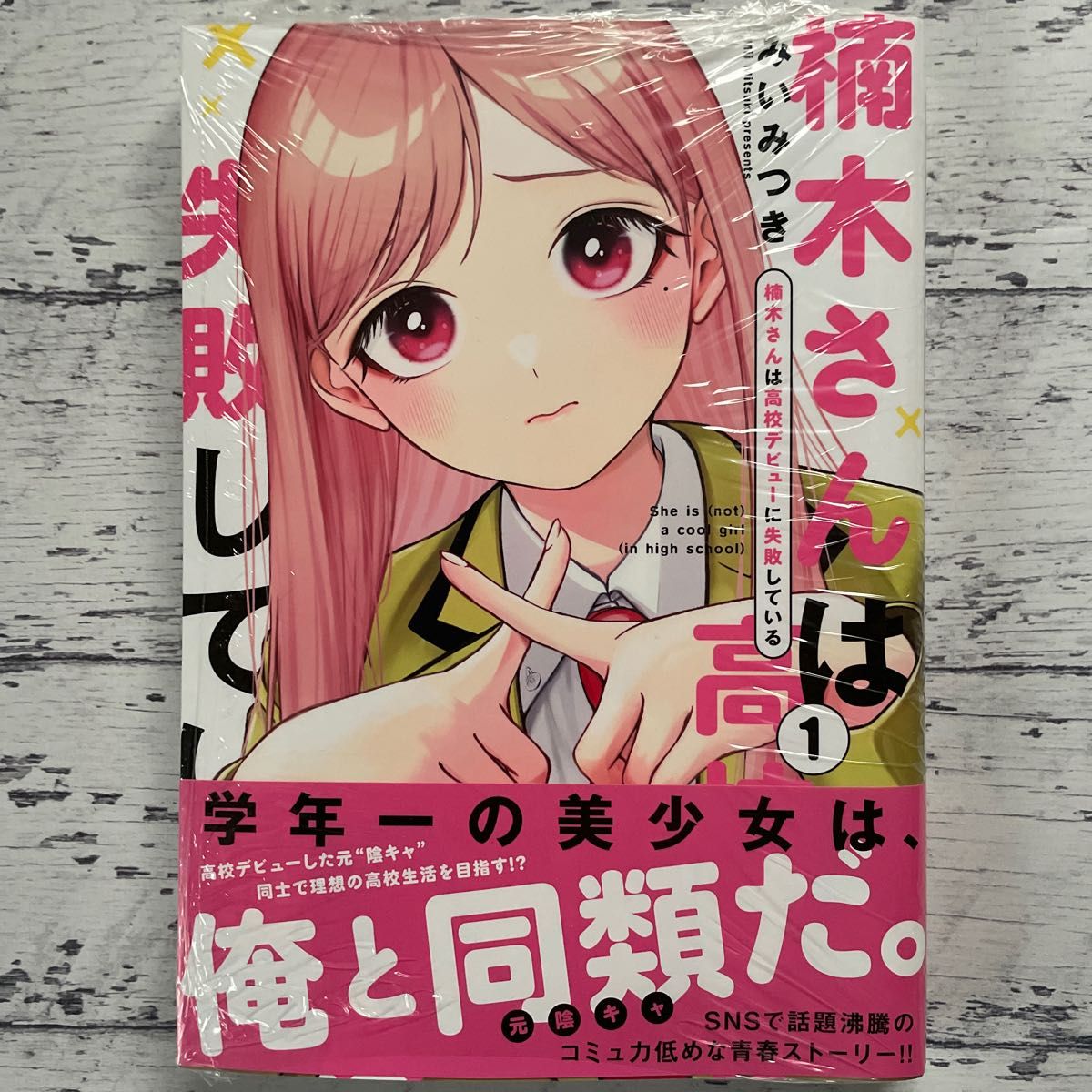 初版/新品】 楠木さんは高校デビューに失敗している 1巻〜4