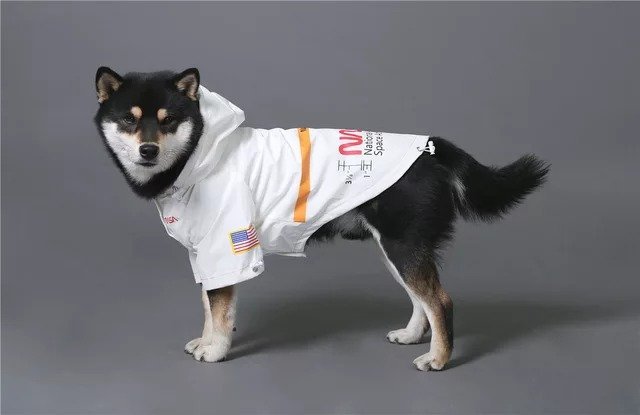 【Mサイズ】レインコート 反射 防水 NASA 宇宙服 フード付き 犬服 ドッグウェア Space unit jacket water proof_画像3