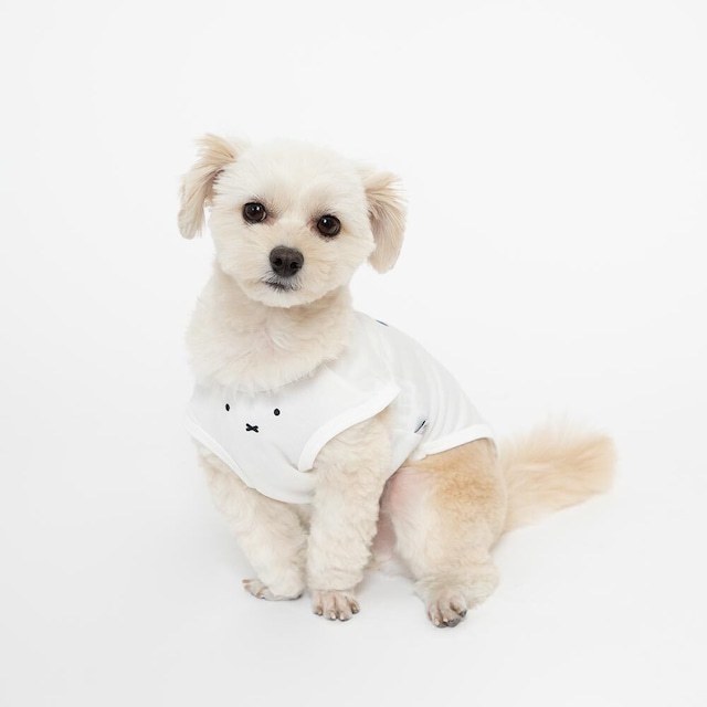 【Lサイズ】限定 ミッフィー 公式 メッシュ フェイス Tシャツ ホワイト 白 犬服 ペット服 夏服 Official Licensed Miffy Mesh Face Tshirt_画像2