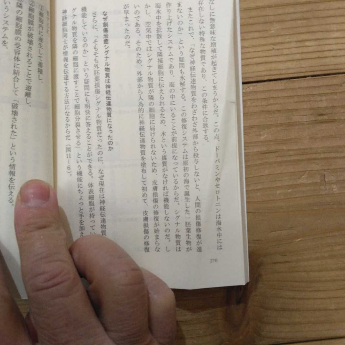 傷はぜったい消毒するな　生態系としての皮膚の科学 （光文社新書　４１１） 夏井睦／著 中古本_画像6