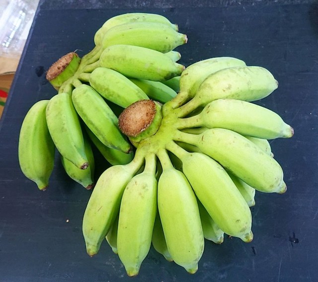 沖縄本島北部産 「島バナナ」「アップルバナナ」の沖縄絶品バナナ1 5㎏セット｜PayPayフリマ