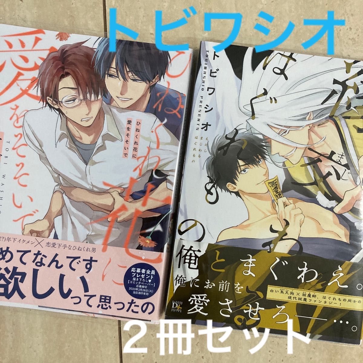 BL トビワシオ先生 コミック2冊セット - 女性漫画