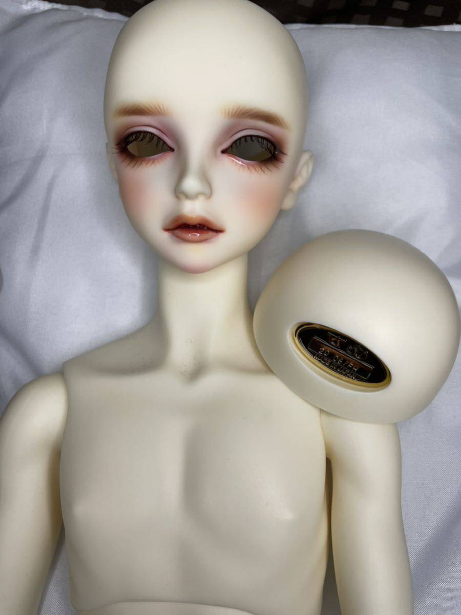 割引発見 スーパードルフィー castino.wine SD_F_75 ボークス スーパー