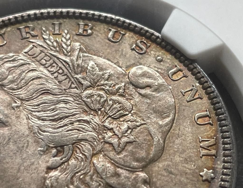 トーンコイン アメリカ モルガンダラー銀貨1885 MS62 NGC|PayPayフリマ