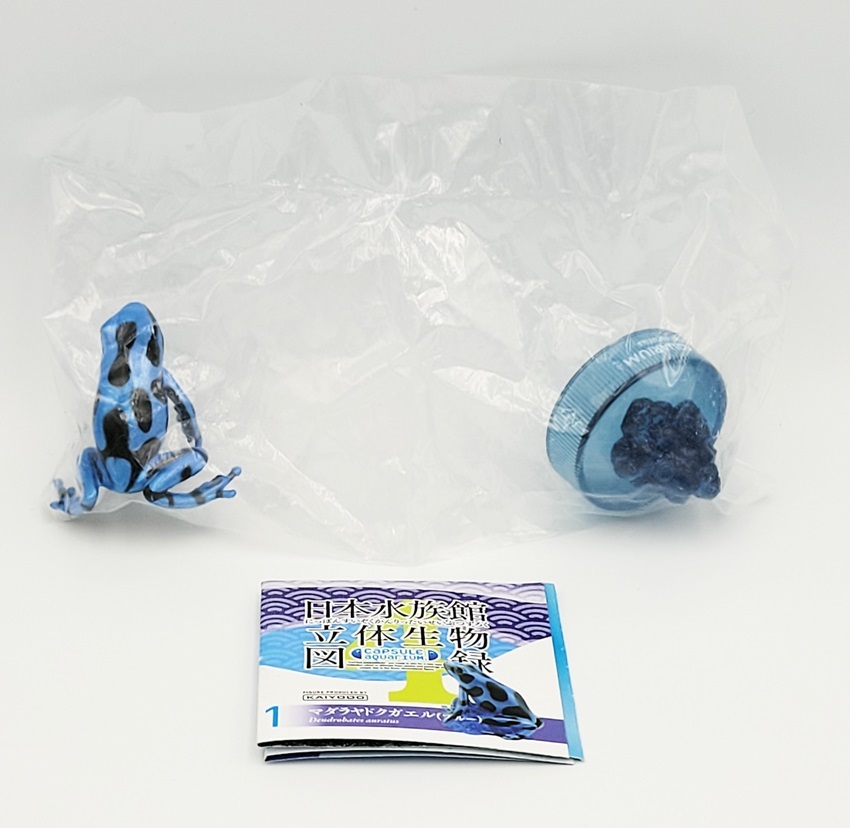 お買い得HOT ヤフオク! - 海洋堂 ヤドクガエル (ブルー) カプセル