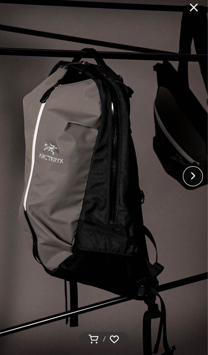 BEAMS別注】アークテリクス ARRO 22 ReBIRD グレー | tidesurety.co.uk