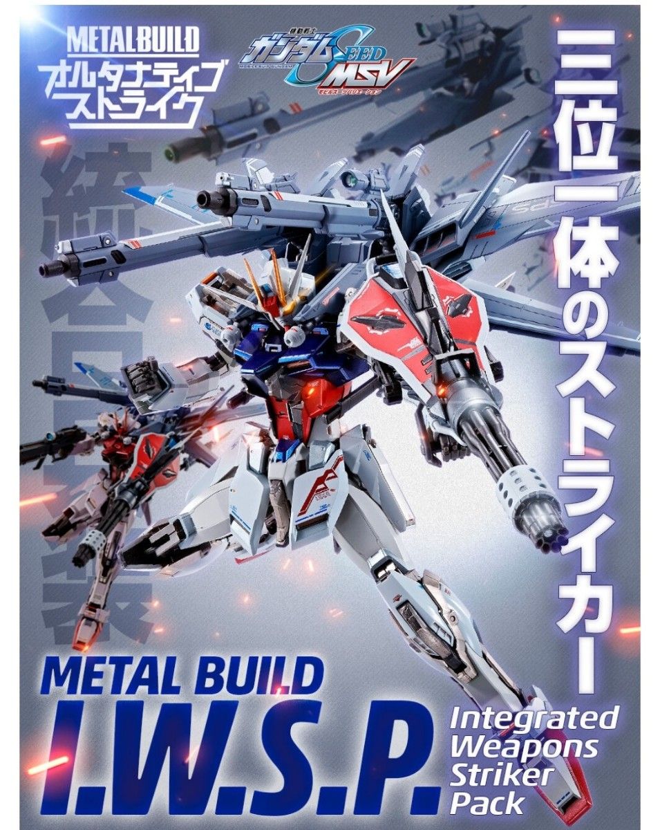 サイズ変更オプション METAL BUILD I.W.S.P 2個セット メタルビルド