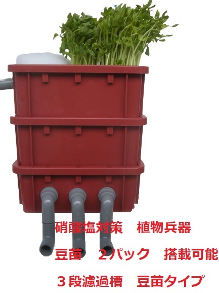 植物兵器搭載　硝酸塩対策 低価格で 高性能な ワインレッドの ３段濾過槽　豆苗タイプ　12_画像1