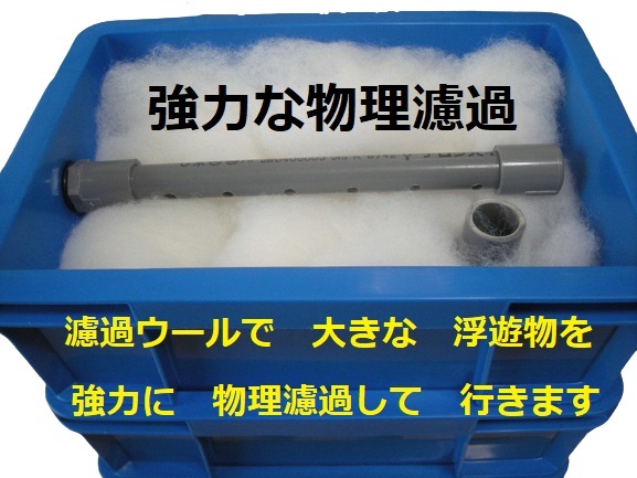 オンライン限定商品販壳 ヤフオク! - 究極の透明度を 実現出来る 池の