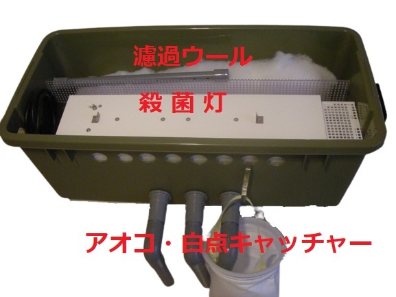 池対応　 殺菌灯BOX ワイドセット 殺菌灯15W モーター アオコ白点キャッチャー付き　9_画像3